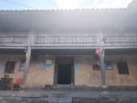 LỄ HỘI HOA TAM GIÁC MẠCH 2025