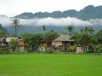 Hướng dẫn đặt hàng