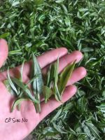 LÀM THẾ NÀO ĐỂ GIỮ CHÈ SHAN TUYẾT LÂU HƠN MÀ KHÔNG BỊ MẤT HƯƠNG VỊ?